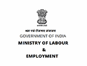 RDP Ministry of Labour and Employment