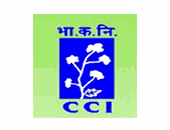 RDP Ministry of Textiles   The Cotton Corporation Of India Limited